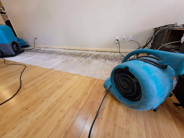 Professional Basement Flood Cleanup technician working in Argyle, MI